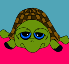 Dibujo Tortuga pintado por naye