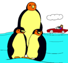 Dibujo Familia pingüino pintado por XJU