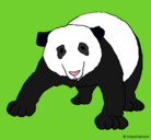 Dibujo Oso panda pintado por alexa