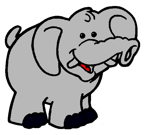 Elefante