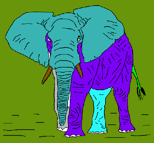 Elefante