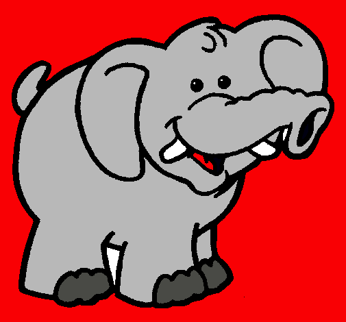 Elefante