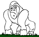 Dibujo Gorila pintado por marcomari