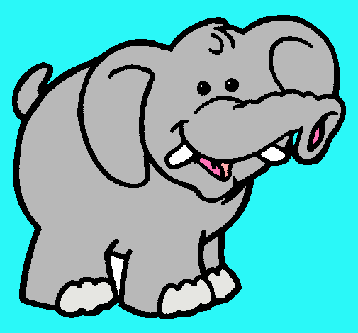 Elefante