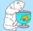 Dibujo Gato mirando al pez pintado por valentina
