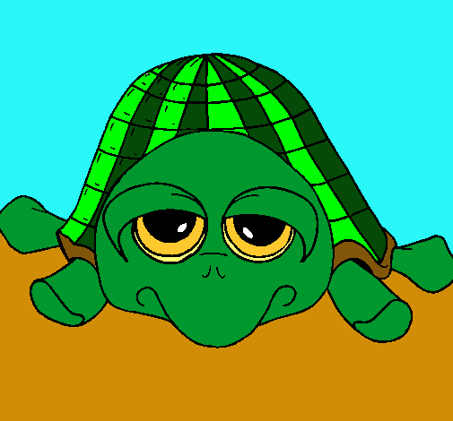 Tortuga