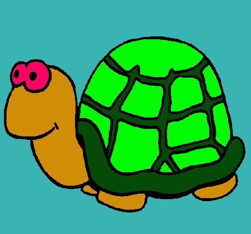 Tortuga