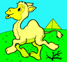 Dibujo Camello pintado por felipe