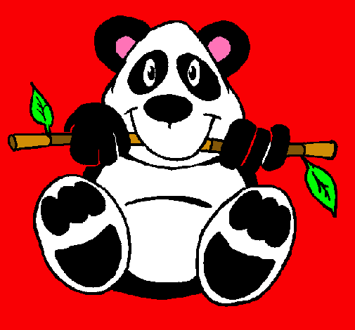 Oso panda