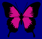 Dibujo Mariposa con alas negras pintado por pingo