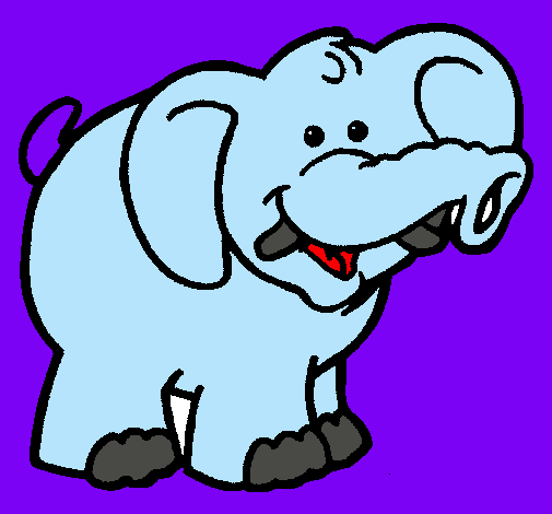 Elefante