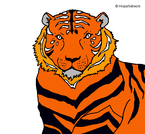 Tigre