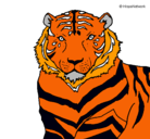 Dibujo Tigre pintado por jazmin