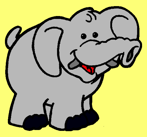 Elefante