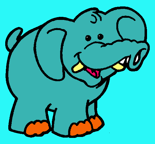 Elefante