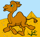 Dibujo Camello pintado por elenaskl