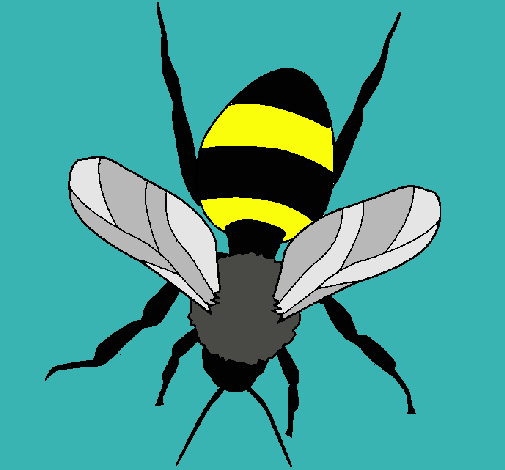 Abeja