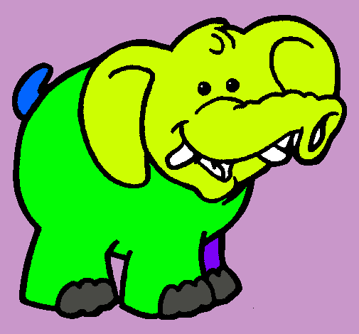 Elefante