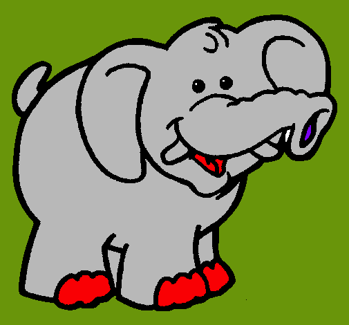 Elefante