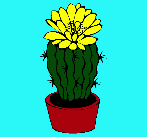 Cactus con flor