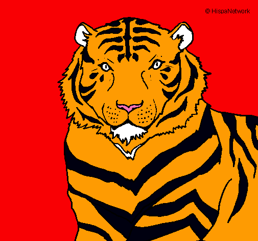 Tigre