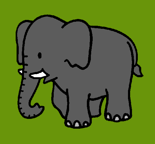 Elefante bebe