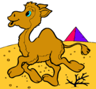 Dibujo Camello pintado por ESTEFANIA