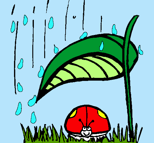 Mariquita protegida de la lluvia
