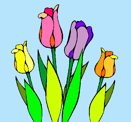 Tulipanes