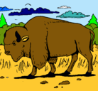Dibujo Búfalo  pintado por luciana