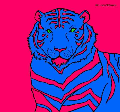 Tigre