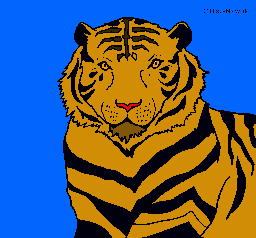 Tigre