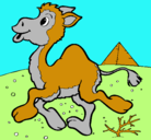 Dibujo Camello pintado por pilar