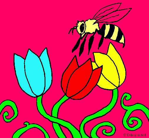 Abeja