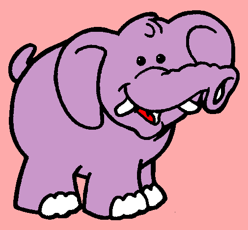 Elefante