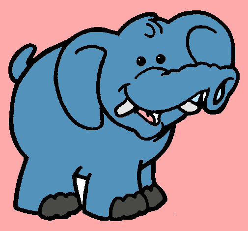 Elefante