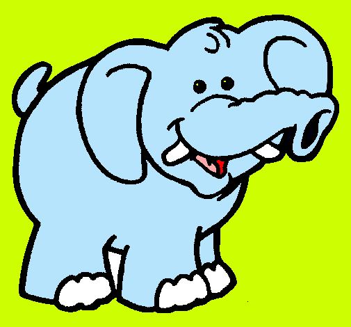 Elefante