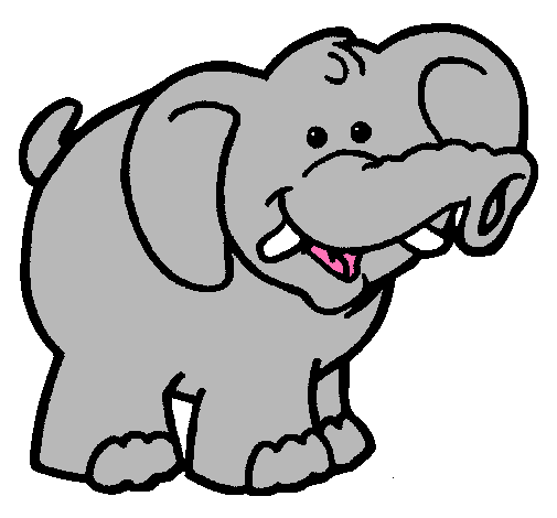 Elefante