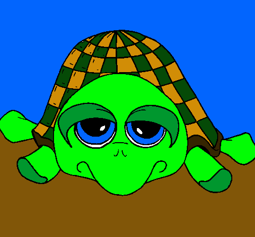 Tortuga