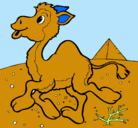 Dibujo Camello pintado por gil1@