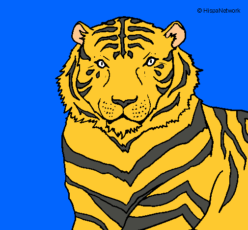 Tigre