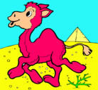 Dibujo Camello pintado por lauraydaniel
