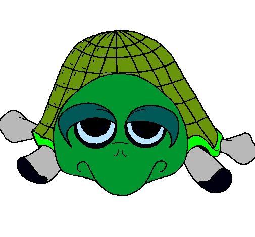 Tortuga