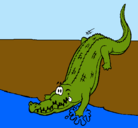 Dibujo Aligátor entrando al agua pintado por josuealejandro