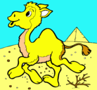 Dibujo Camello pintado por triana