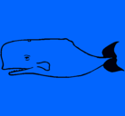 Dibujo Ballena azul pintado por joaquin