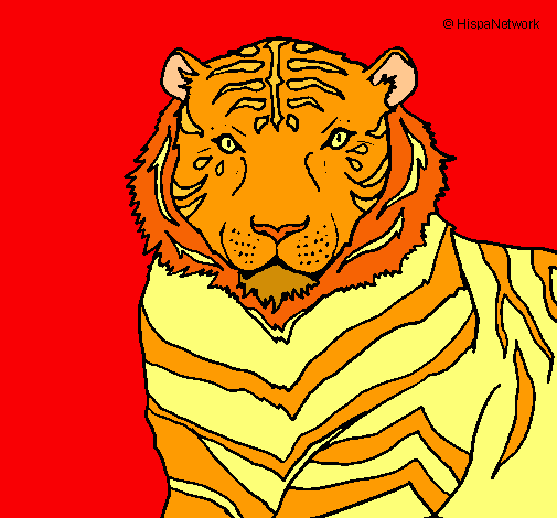 Tigre