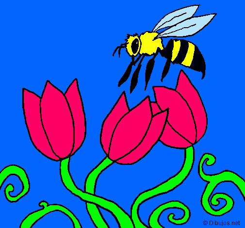 Abeja