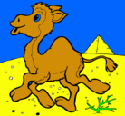 Dibujo Camello pintado por agus
