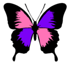Dibujo Mariposa con alas negras pintado por rosario